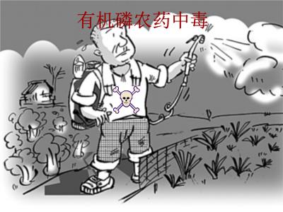 什么是有機(jī)磷農(nóng)藥殘留？食品安全檢測(cè)儀提醒您規(guī)避風(fēng)險(xiǎn)